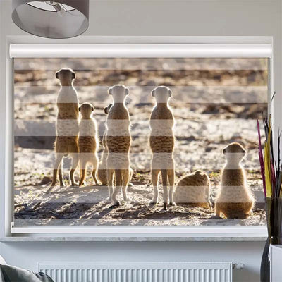 Doppelrollo mit Kassette  Erdmaennchen