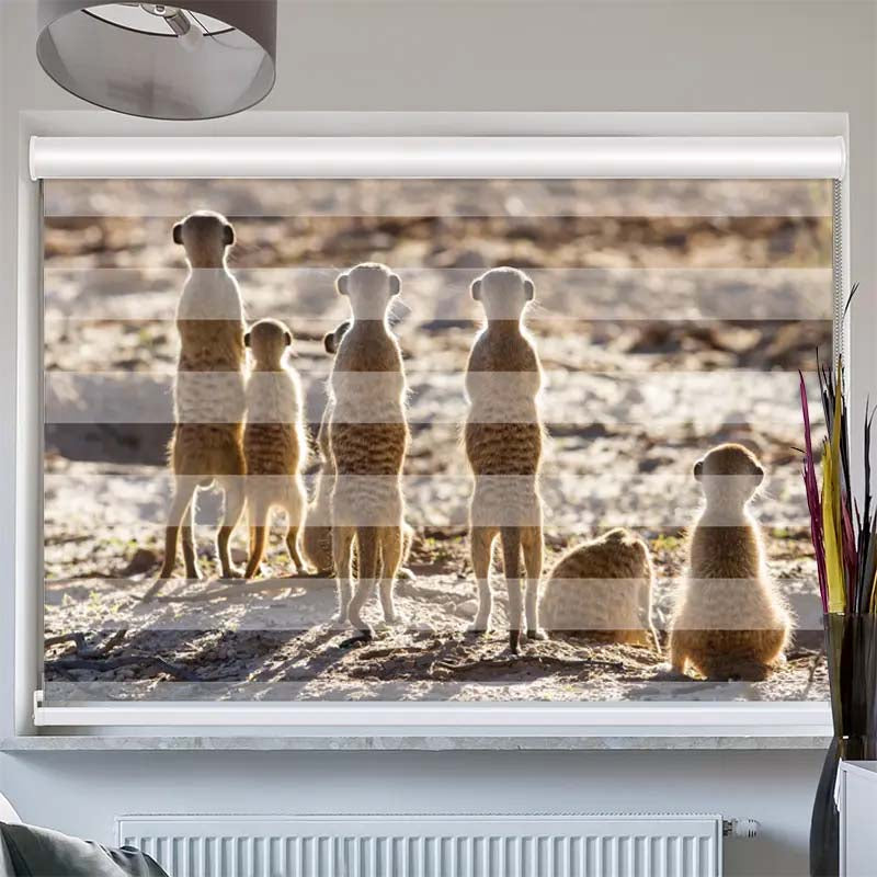 Doppelrollo mit Kassette  Erdmaennchen