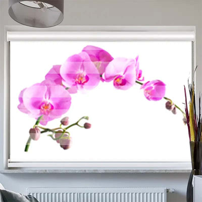 Doppelrollo mit Kassette  Orchidee