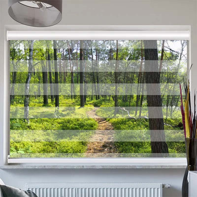 Doppelrollo mit Kassette  Wald Sonnenstrahlen Panorama