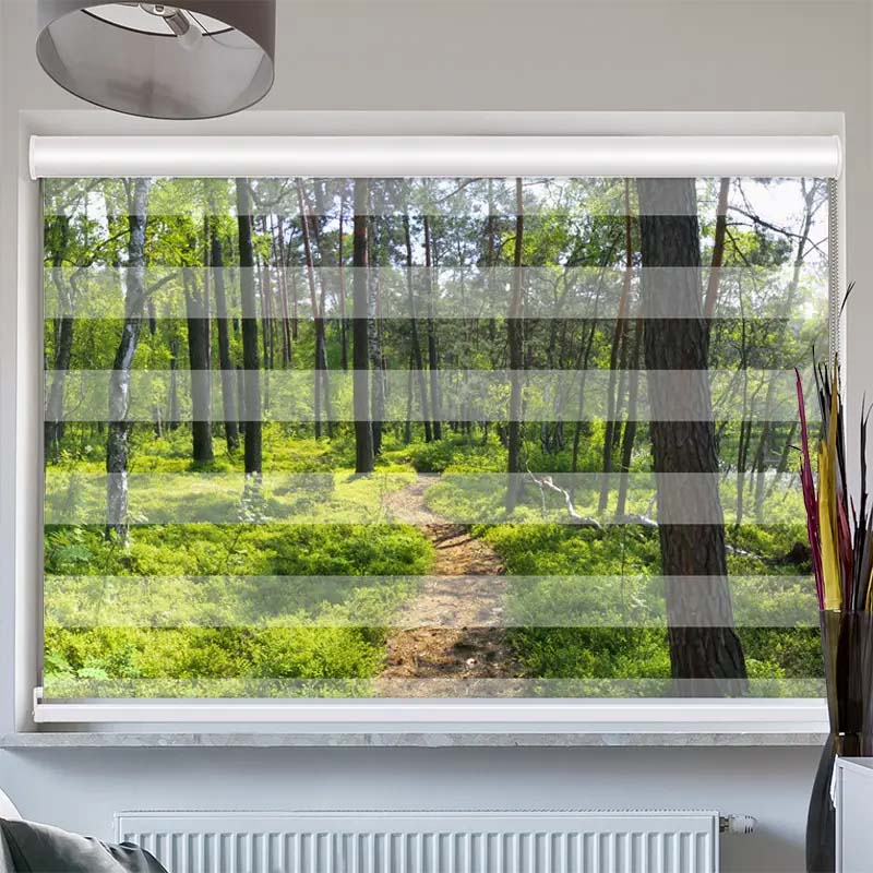 Doppelrollo mit Kassette  Wald Sonnenstrahlen Panorama