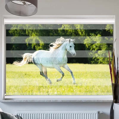 Doppelrollo mit Kassette  Weisses Pferd im Gras