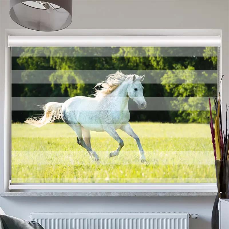 Doppelrollo mit Kassette  Weisses Pferd im Gras