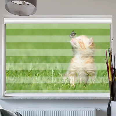 Doppelrollo Kassette Kitten und Schmetterling