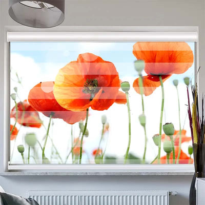 Doppelrollo mit Kassette  Mohnblumen Panorama