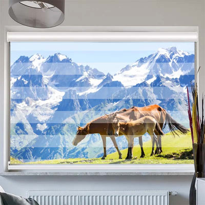 Doppelrollo mit Kassette  Pferde auf der Alm