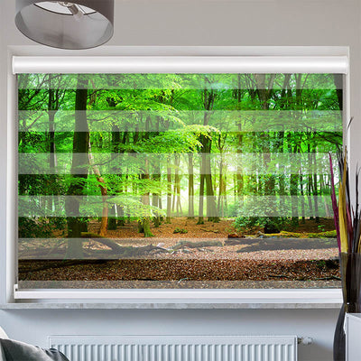 Doppelrollo mit Kassette Wald mit Eichenlaub