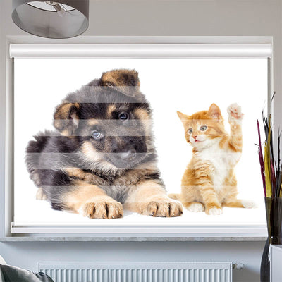 Doppelrollo mit Kassette Welpe und Kitten