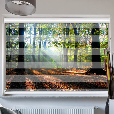 Doppelrollo mit Kassette Wald Laub Sonne