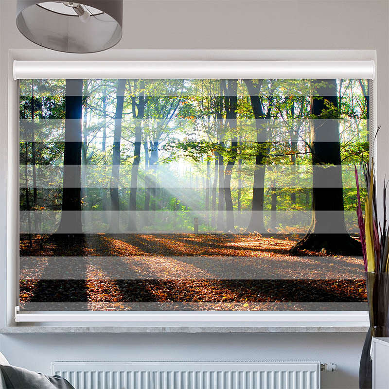 Doppelrollo mit Kassette Wald Laub Sonne