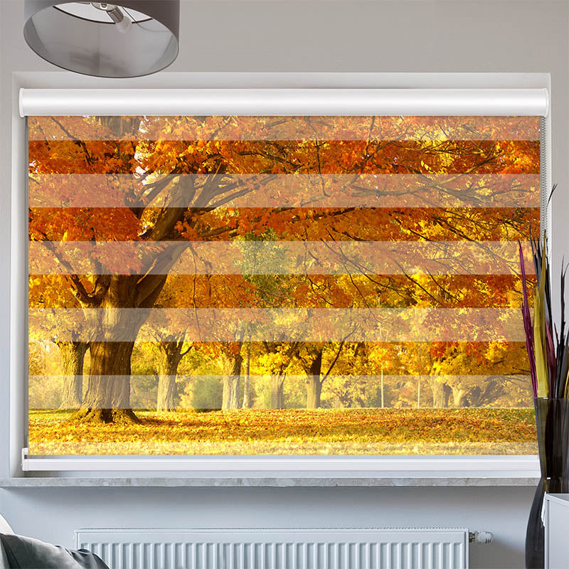 Doppelrollo mit Kassette Allee im Herbst