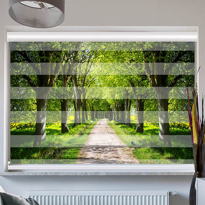 Doppelrollo mit Kassette Schoene Allee