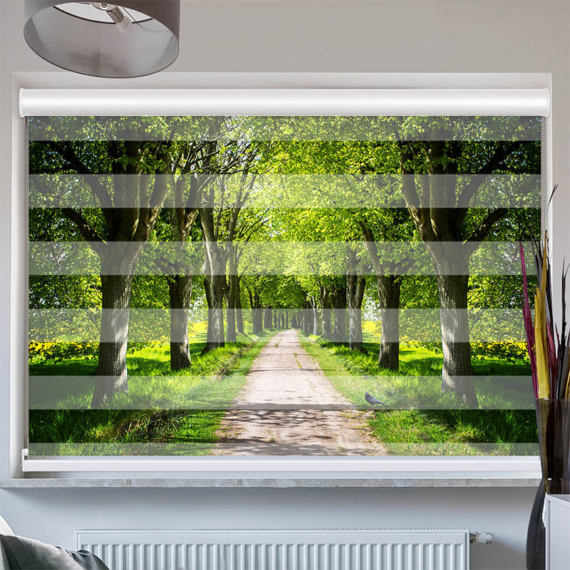 Doppelrollo mit Kassette Schoene Allee