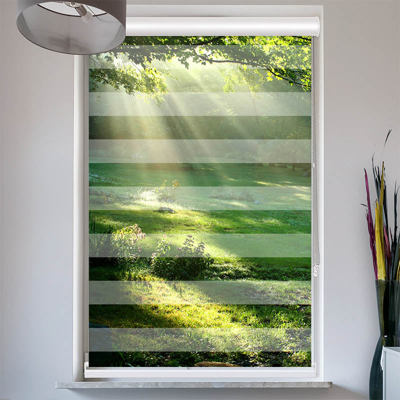 Doppelrollo mit Kassette Lichtung im Wald