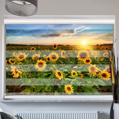 Doppelrollo mit Kassette Sonnenblumenfeld Sonnenaufgang
