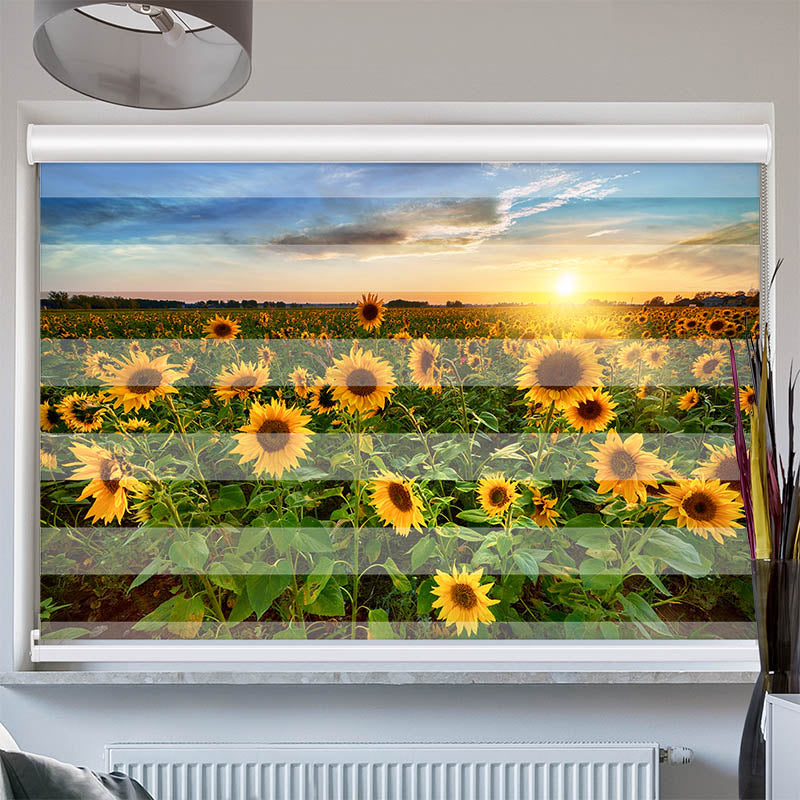 Doppelrollo mit Kassette Sonnenblumenfeld Sonnenaufgang