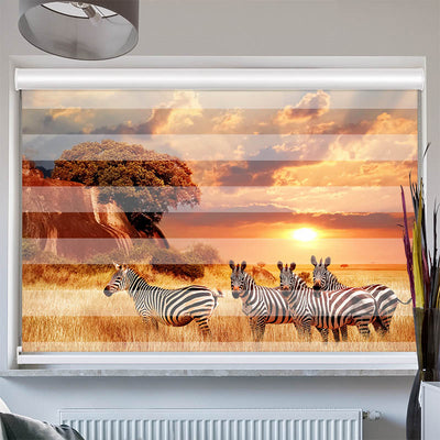 Doppelrollo mit Kassette Zebras in Afrikas Savanne