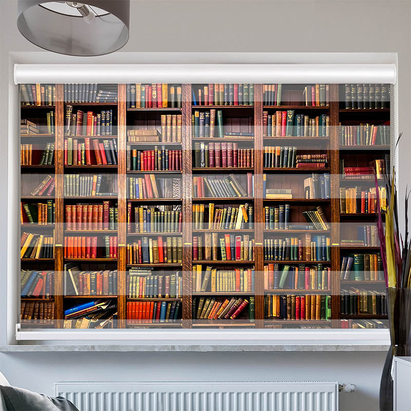 Doppelrollo mit Kassette Altes Beucherregal