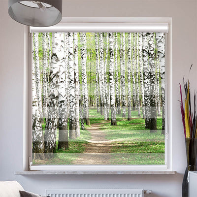 Doppelrollo mit Kassette Birkenwald Weg