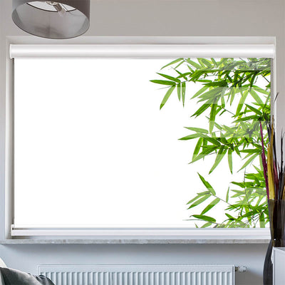 Doppelrollo mit Kassette Bambusblaetter Freigestellt