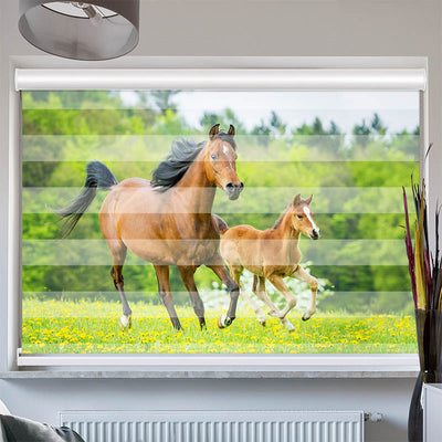 Doppelrollo mit Kassette Pferd mit Fohlen