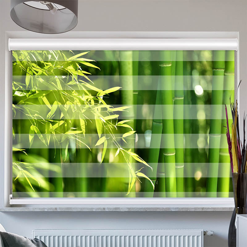 Doppelrollo mit Kassette Bambus Strauch