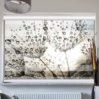 Doppelrollo mit Kassette Pusteblume Tautropfen