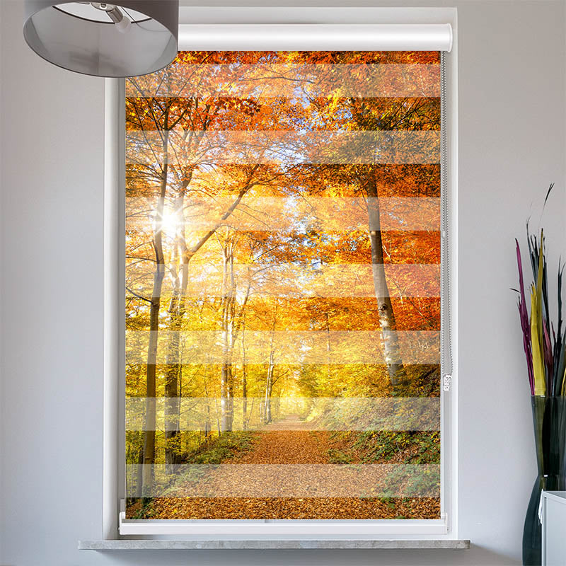 Doppelrollo mit Kassette Waldweg Herbst