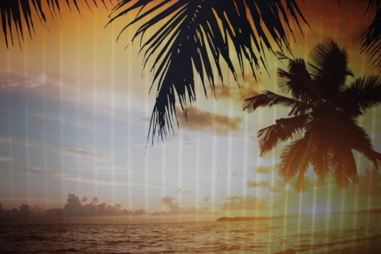 Frontansicht von einem großen bedruckten Foto-Lamellenvorhang an einer großen Fensterfront bedruckt mit Palmen bei Sonnenuntergang am Meer