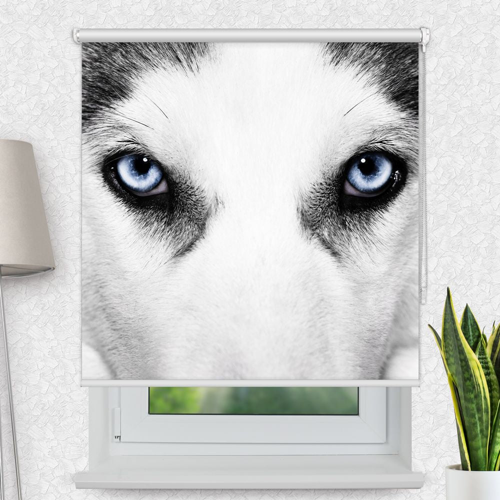 Fotorollo 'Wolf Augen