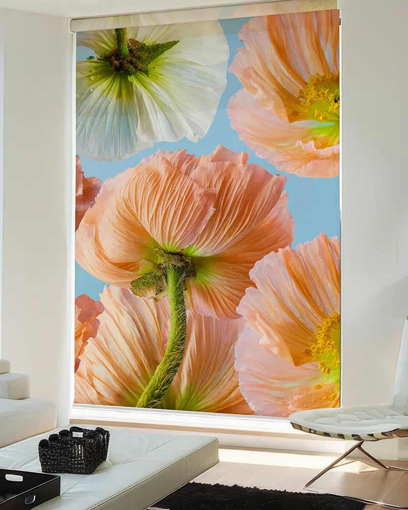 Fotorollo im Wohnzimmer