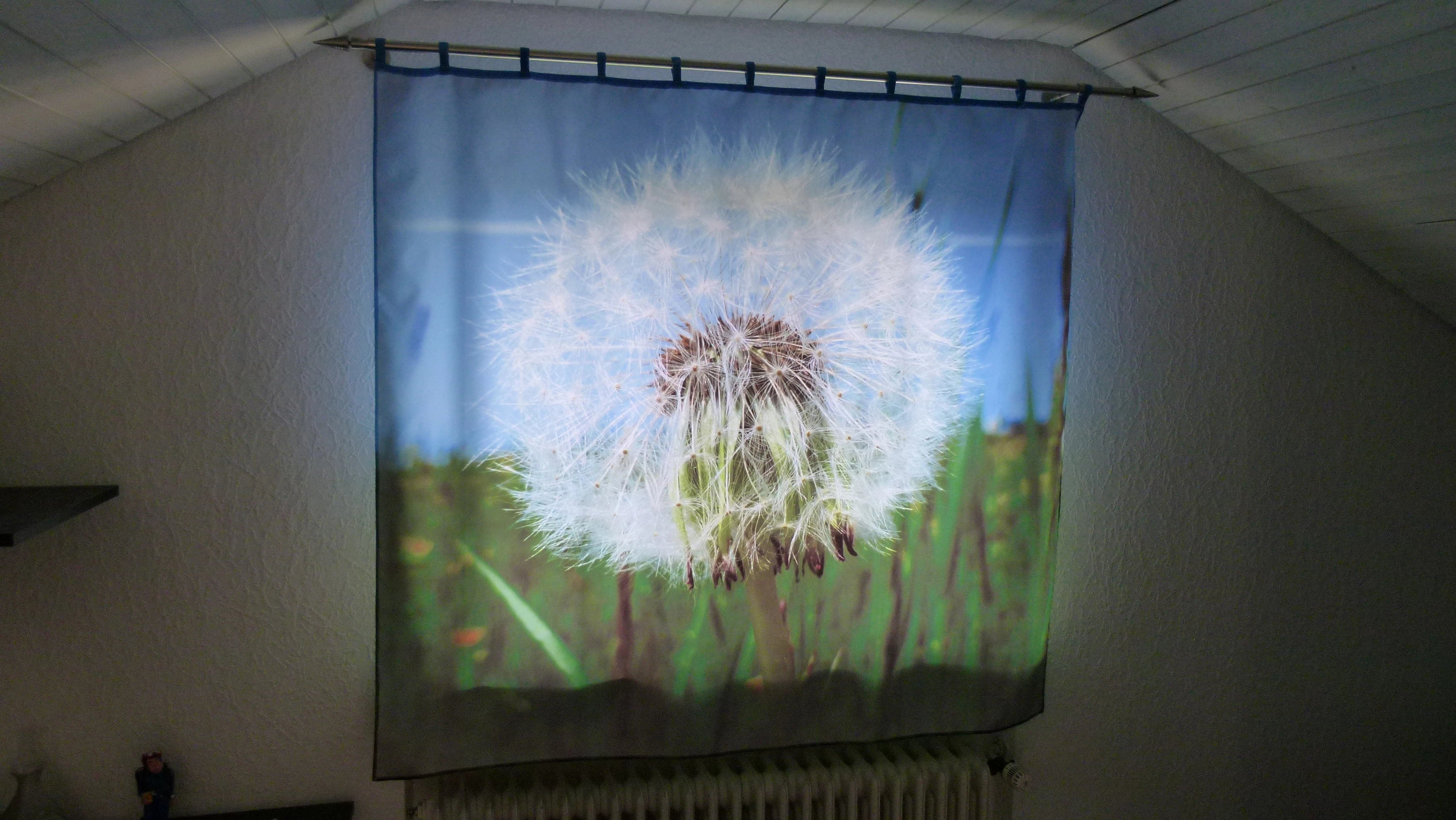 bedruckter Fotovorhang am Fenster mit großem Bild einer Pusteblume im Wohnzimmer