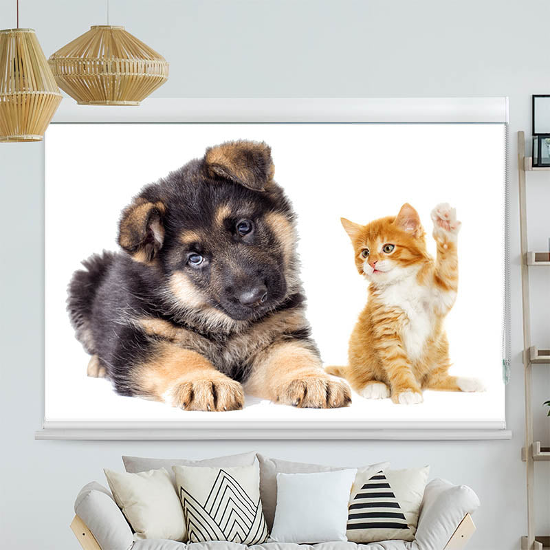 Kassettenrollo Motiv Welpe und Kitten