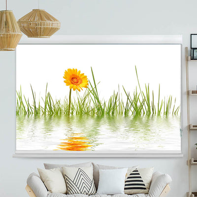 Kassettenrollo Motiv 'Gras im Wasser'