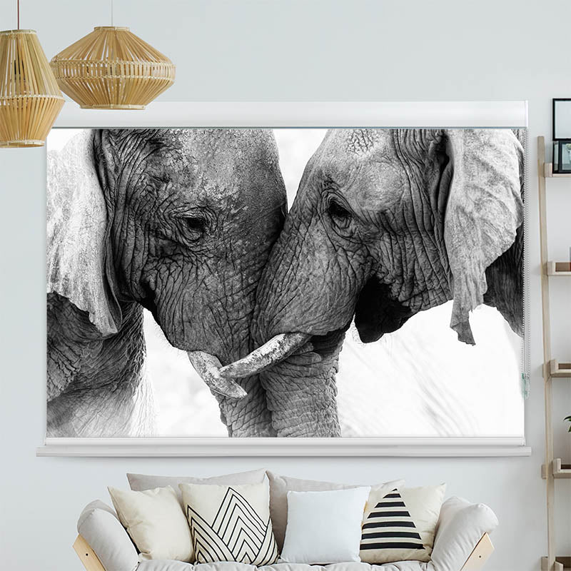 Kassettenrollo Motiv Afrika Lefanten