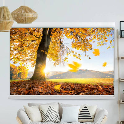 Kassettenrollo Motiv Baum Wiese Herbst