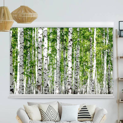 Kassettenrollo Motiv 'Birkenstaemme Wald'