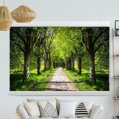 Kassettenrollo Motiv Schoene Allee