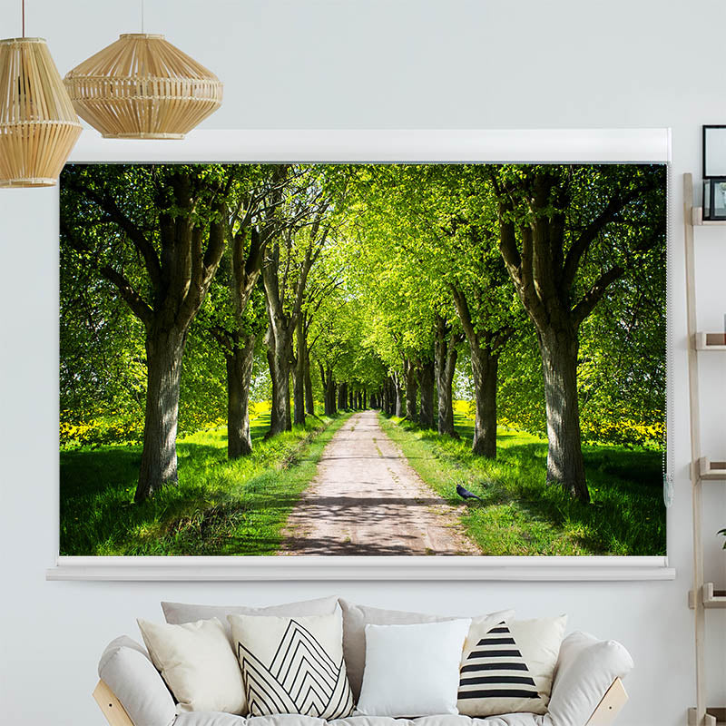 Kassettenrollo Motiv Schoene Allee
