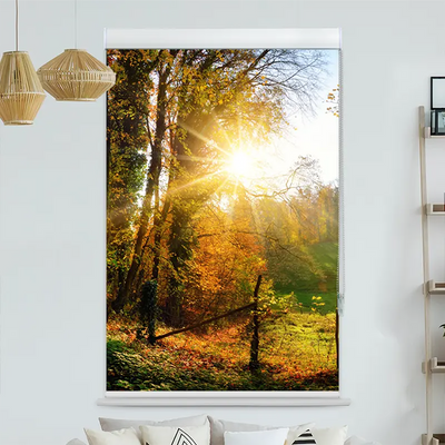 Kassettenrollo Motiv Herbstlandschlaft | bis B 420 x H 420 cm