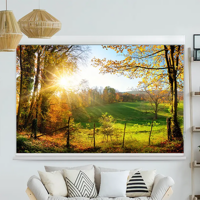 Kassettenrollo Motiv Herbstlandschlaft | bis B 420 x H 420 cm