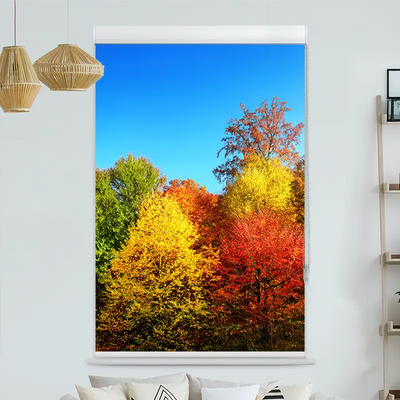 Kassettenrollo Motiv Bunter Herbstwald | bis B 420 x H 420 cm