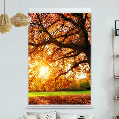 Kassettenrollo Motiv Baum Herbst Sonnenstrahlen | bis B 420 x H 420 cm