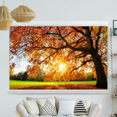 Kassettenrollo Motiv Baum Herbst Sonnenstrahlen | bis B 420 x H 420 cm
