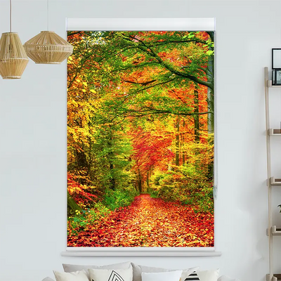 Kassettenrollo Motiv Weg Im Herbstwald | bis B 420 x H 420 cm