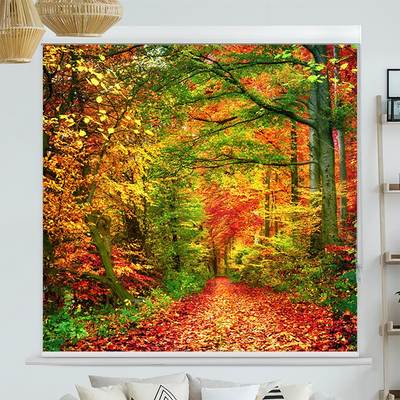 Kassettenrollo Motiv Weg Im Herbstwald | bis B 420 x H 420 cm