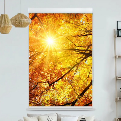 Kassettenrollo Motiv Baumkrone Herbst Sonnenschein | bis B 420 x H 420 cm