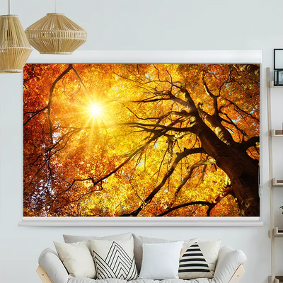 Kassettenrollo Motiv Baumkrone Herbst Sonnenschein | bis B 420 x H 420 cm