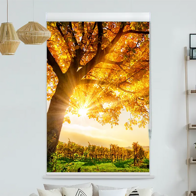 Kassettenrollo Motiv Baum Herbst Sonnenschein | bis B 420 x H 420 cm