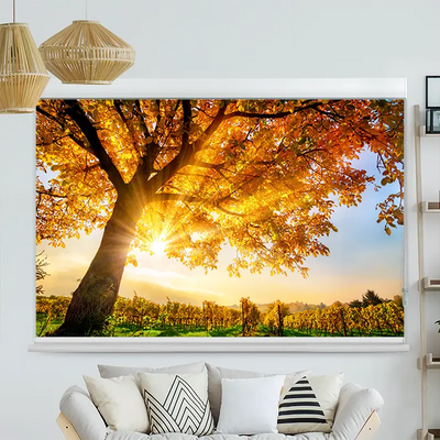 Kassettenrollo Motiv Baum Herbst Sonnenschein | bis B 420 x H 420 cm
